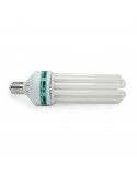 Ampoule 125w 6400k CFL - Croissance