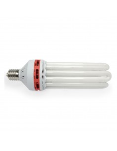 Ampoule 150w 2700k CFL - Floraison