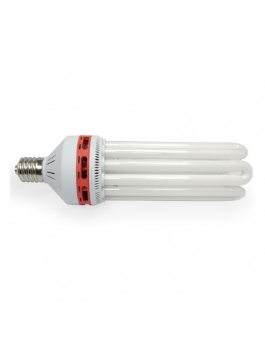 Ampoule 150w 2700k CFL - Floraison