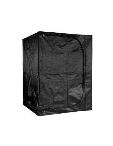 Dark street 2 150x150x200cm