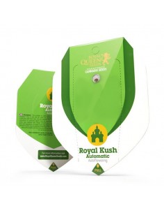 Royal Kush automatic RQS