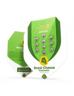 Royal Cheese automatic RQS