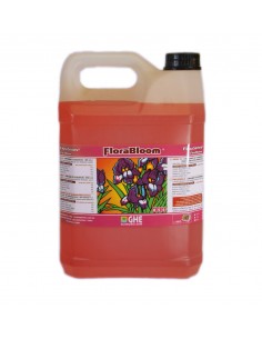 Flora Bloom 5l