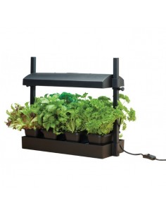 Micro grow light garden - Garland 2