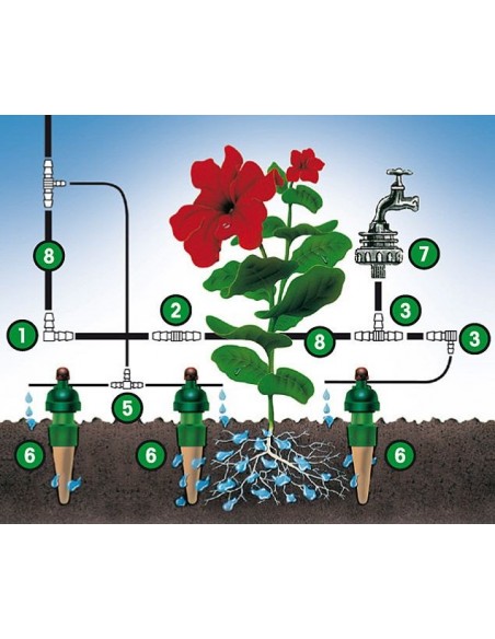 Blumat système irrigation 12 plantes , sans pompe , sans électricité