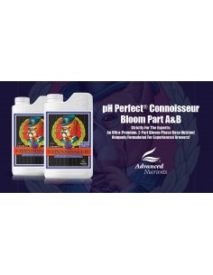 AN Connoisseur Bloom PH P A+B 500ml 2
