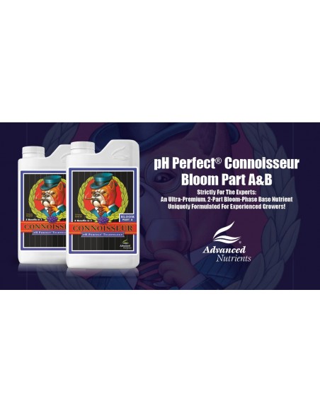 AN Connoisseur Bloom PH P A+B 500ml