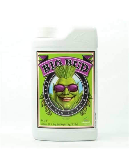 AN BIG BUD 1l