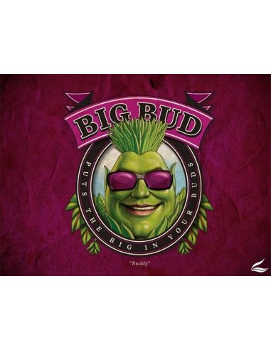 AN BIG BUD 1l