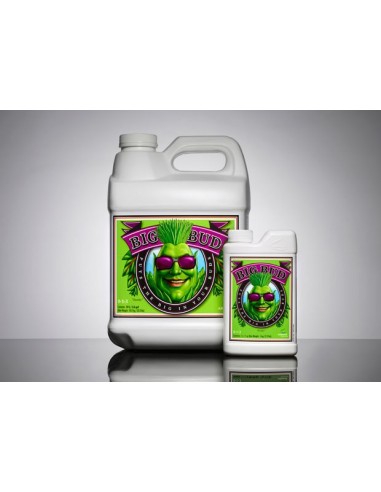Big Bud - 1L - Advanced Nutrients