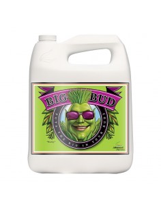 Big Bud - 1L - Advanced Nutrients