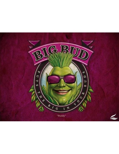 Big Bud - 250mL - Advanced Nutrients