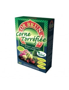 Corne torréfiée 800g - Or Brun