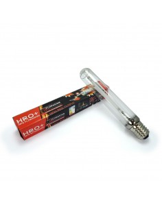 AMPOULE HRO 250W HIGHT RED