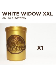 GOLDSEEDS - WHITE WIDOW XXL...