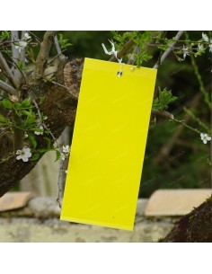 Piège à Glu jaune - Mouches des arbres fruitiers et Pucerons - Lot de 10 - Décamp Radica