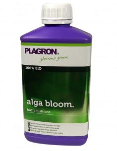 Alga bloom 1L