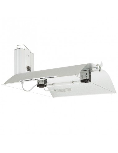 Douille Originale Double Ended + Spreader + 3M IEC - Adjust A Wings