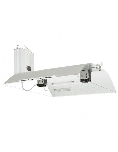 Douille Originale Double Ended + Spreader + 3M IEC - Adjust A Wings