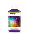 Green Sensation 1L (Booster de Floraison) - Plagron