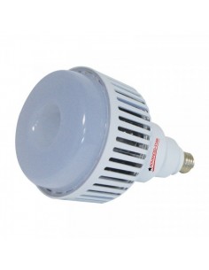 Ampoule LED CROISSANCE - LEDSTAR 150W 6500K E40 - ADVANCED STAR