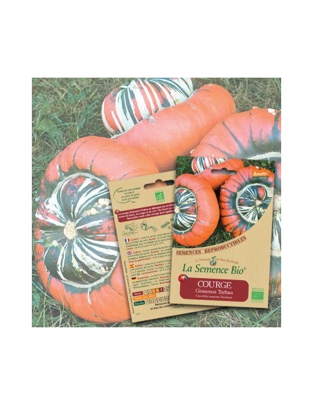 COURGE Giraumon Turban Bio