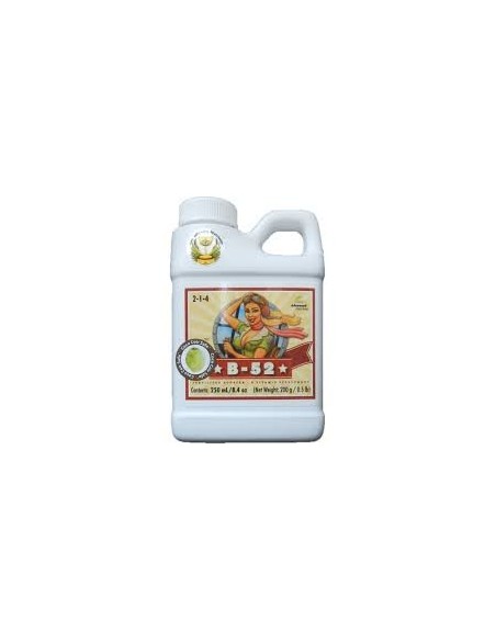 AN B-52 250ml