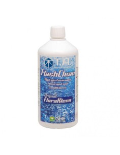 flashclean 1L