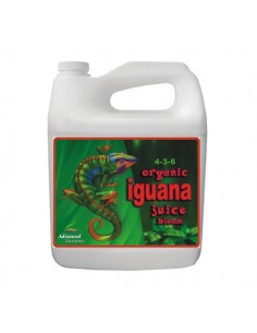 Iguana juice bloom 4L