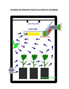 Pack Box de culture 150x 150 x200 cm 2x 600w Hps