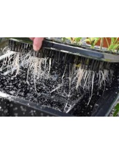PROPAGATOR X-STREAM 12 PLANTS 2