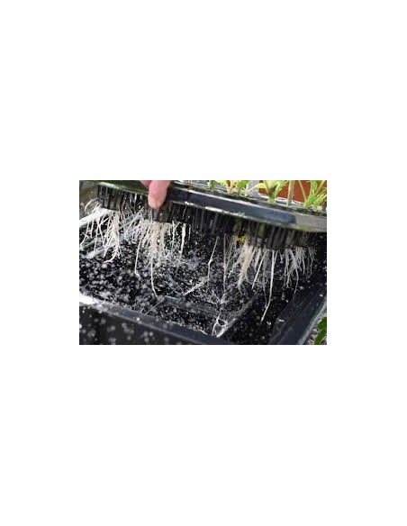 PROPAGATOR X-STREAM 12 PLANTS