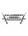 KALASHNIKOV SEEDS