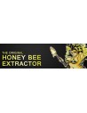 HONEY BEE