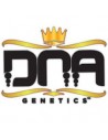 DNA GENETICS