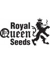 ROYAL QUEEN SEEDS