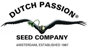 DUCTH PASSION